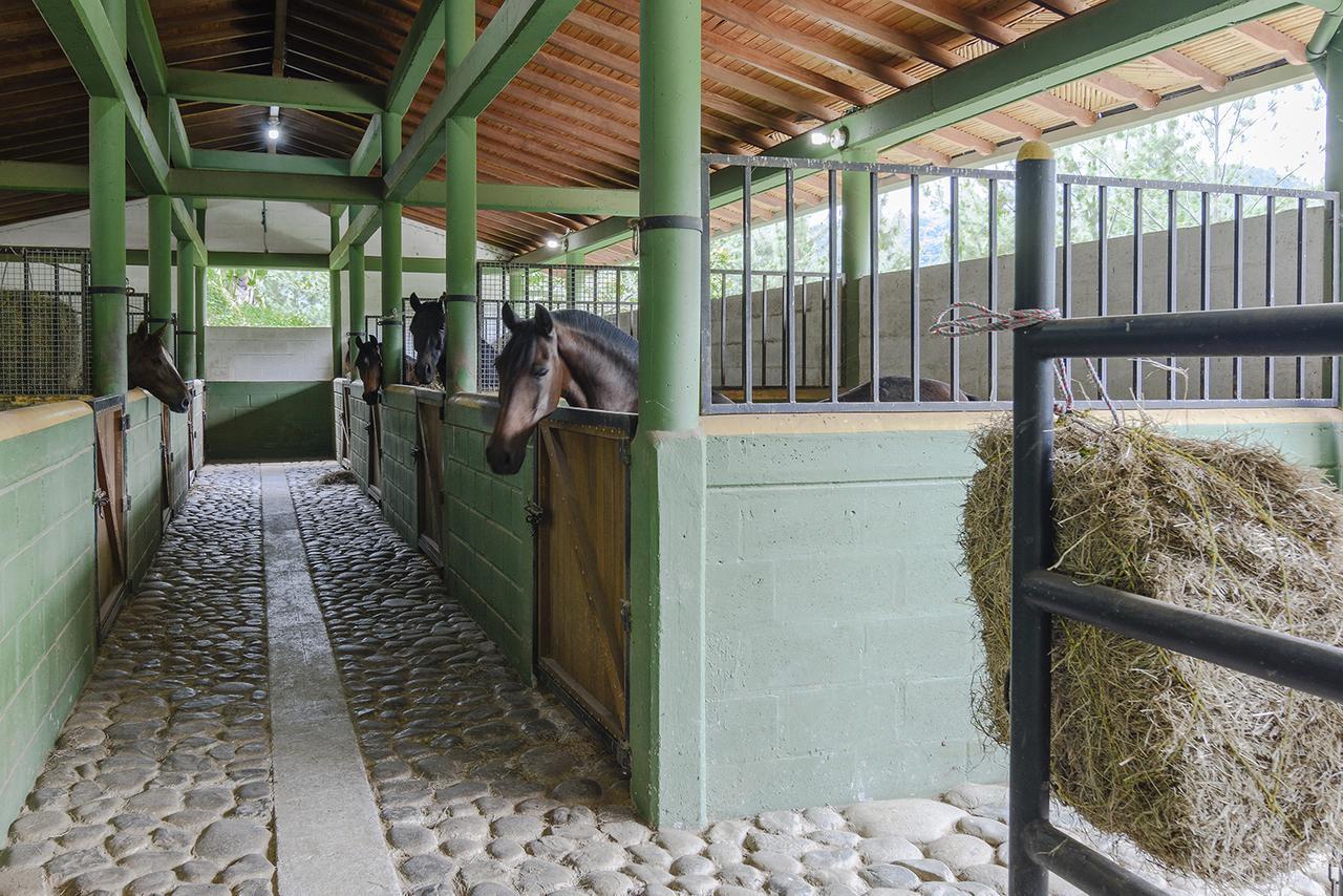 Finca Boutique El Diamante Salgar  Eksteriør bilde