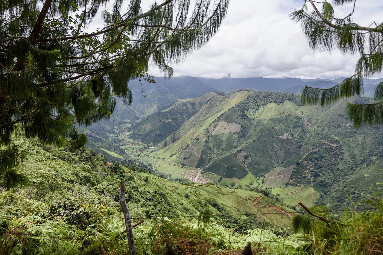 Finca Boutique El Diamante Salgar  Eksteriør bilde