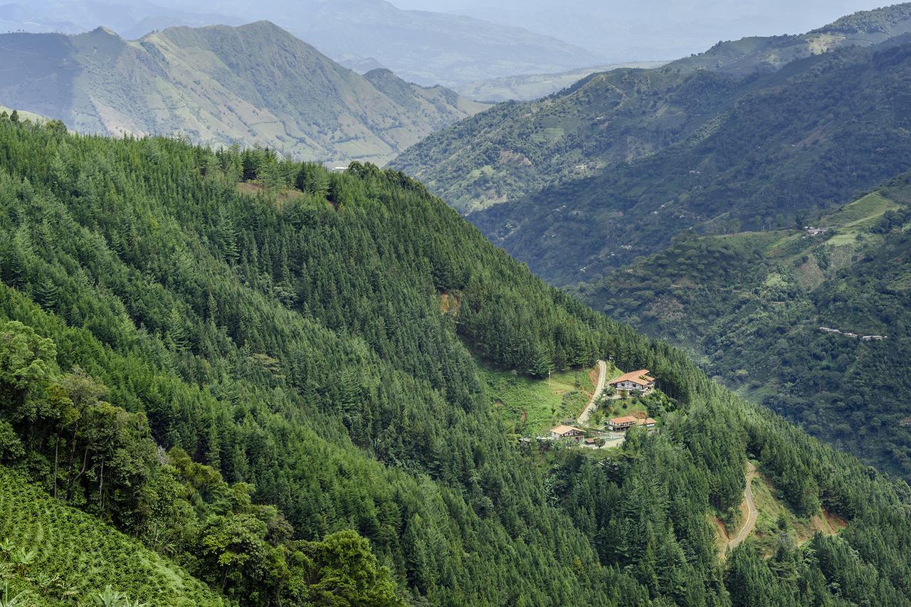 Finca Boutique El Diamante Salgar  Eksteriør bilde