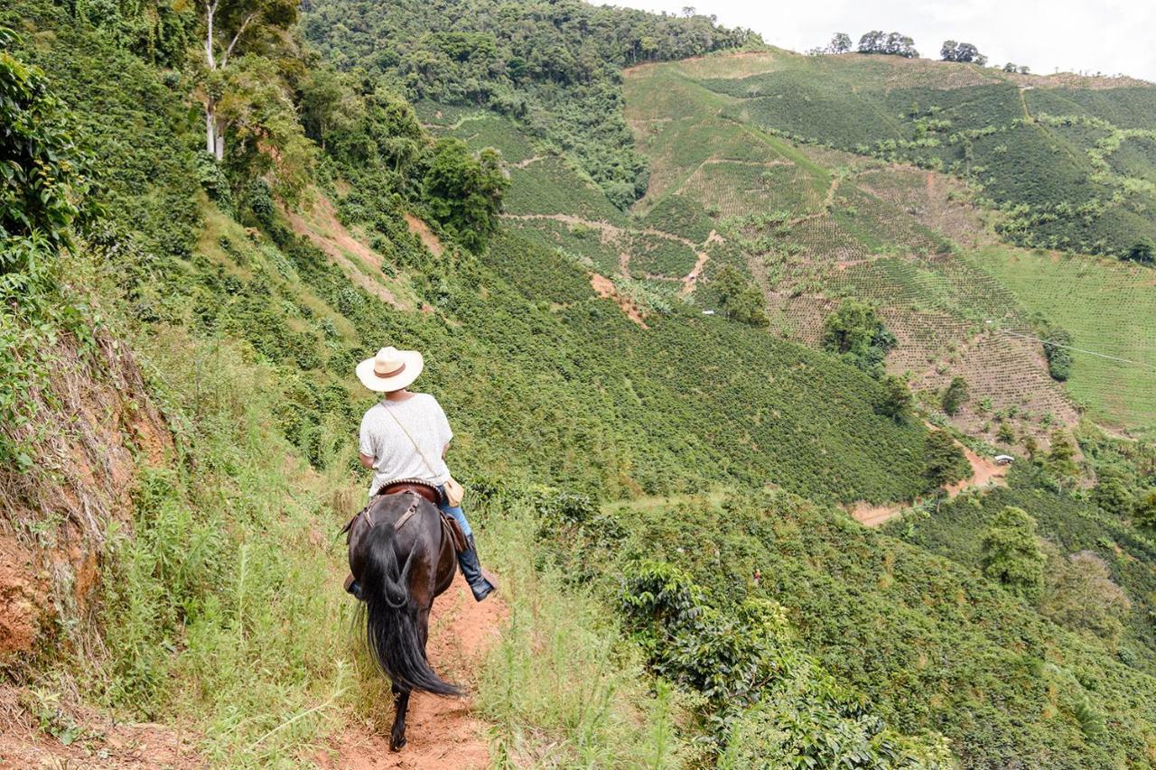 Finca Boutique El Diamante Hotell Salgar  Eksteriør bilde